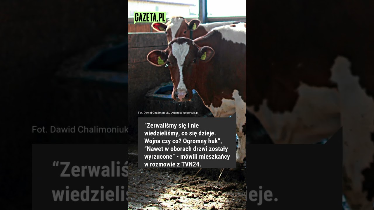 Niezidentyfikowany obiekt latający w Osinach #shorts