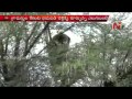 Bear hulchal in Warangal; Watch Forest Officials Catch it!