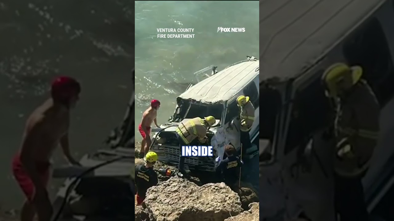 SEE IT: Firefighters rescue dog from crash on California coast #foxnews #news #shorts #crash