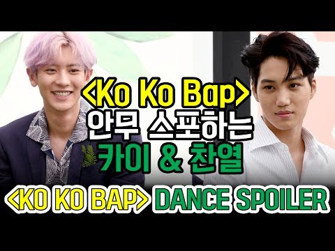 'KO KO BOP' EXO KAI & CHANYEOL's Dance Spoiler 안무 스포하는 엑소 카이 & 찬열 (170718 EXO Press Conference)