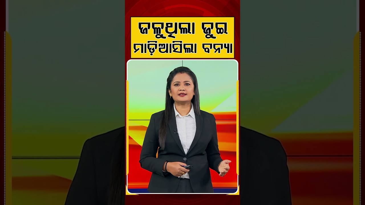 ଜଳୁଥିଲା ଜୁଇ ମାଡିଆସିଲା ବନ୍ଯା | Argus Reels | Flood | CremationGround | ArgusNews | Madhyapradesh