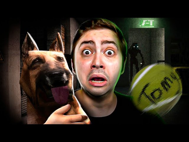 SEQUESTRARAM MEU CACHORRO! - CANINE
