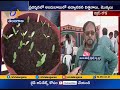 5-day national horticulture exhibition at Necklace Road