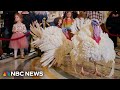 LIVE: Biden pardons Thanksgiving turkeys on his 81st birthday | NBC News