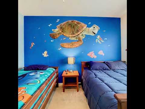 Property video