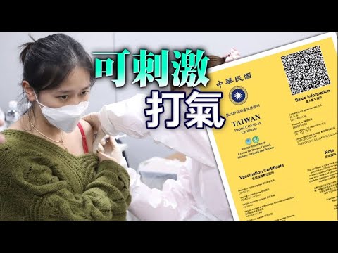 獨家｜數位疫苗證明不只出國用！探病、上酒店嘛ㄟ通　專家：可刺激打氣 | 台灣新聞 Taiwan 蘋果新聞網
