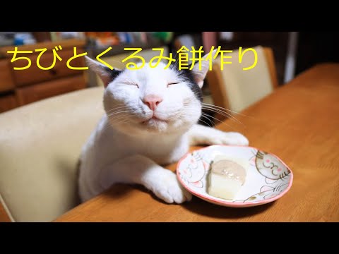 かご猫 Blog 最新動画まとめ まとめちゅーぶ