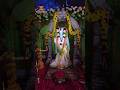 Sri Varaha Lakshmi Narasimha Swamy 🙏🕉️ Floral 🏵️Decoration 👌 #karthikamasam #kotideepotsavam
