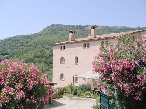 Property video