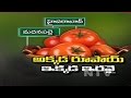 Tomatoes Rs. 1-a-kg in Madanapalle; Rs. 20-a-kg in Hyderabad