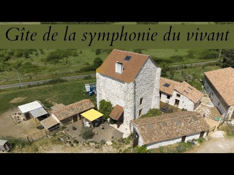 Property video