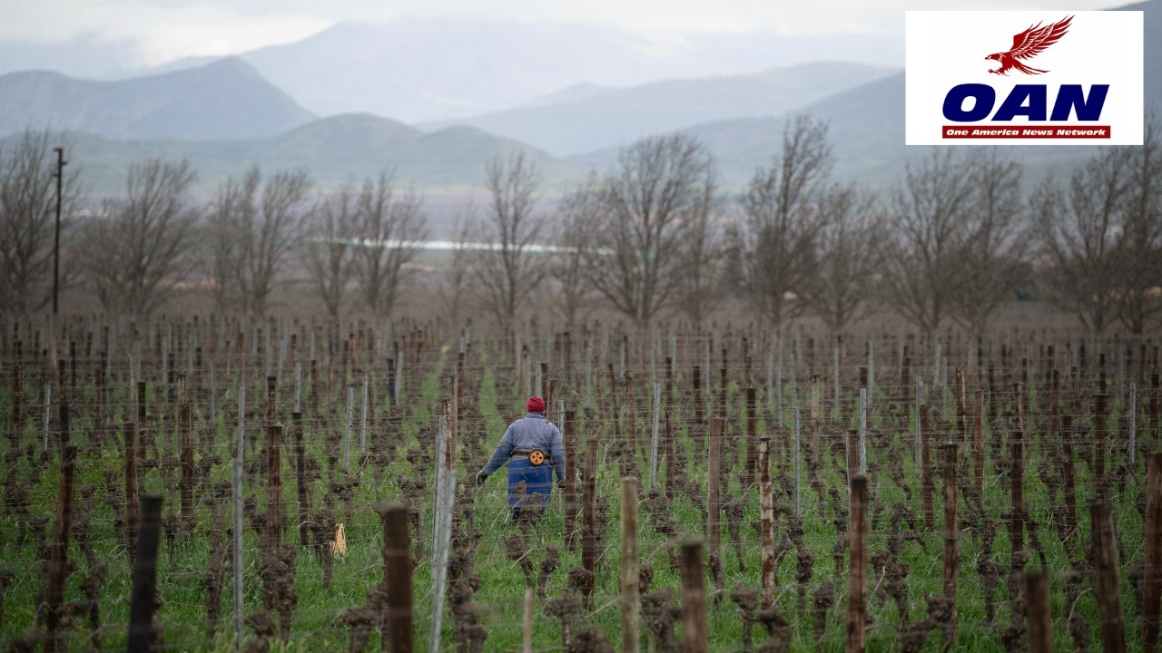 South Africans Raise Concerns Over Farm Attacks at Washington Conference