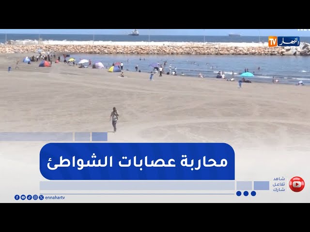 المحاربة عصابات الشواطئ ..  لجان خاصة تقف على مجانية الشواطئ