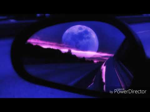Kakkmaddafakka- Forever Alone// Lyrics