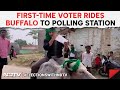 Phase 4 Voting News | It Was His First Vote. So He Rode A Buffalo To Polling Station