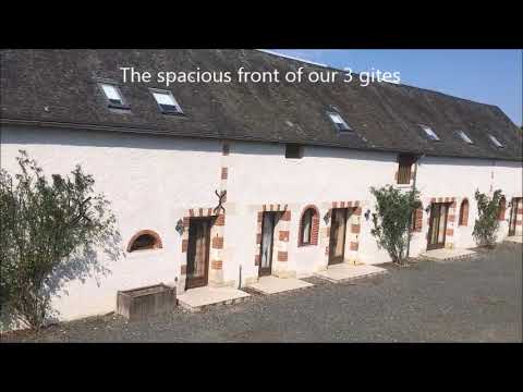 Property video