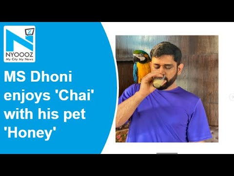MS Dhoni clicked by Sakshi while enjoying a glass of chai with his ‘Honey’