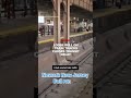 Loose bull on train tracks causes transit delay  - 00:24 min - News - Video