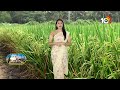 ఆంధ్రప్రదేశ్‌లో వేయదగిన ఖరీఫ్ వరి రకాలు | Kharif Crops | Matti Manishi | 10TV  - 08:49 min - News - Video
