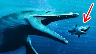 20 фактов и мифов о мегалодоне и других морских монстрах