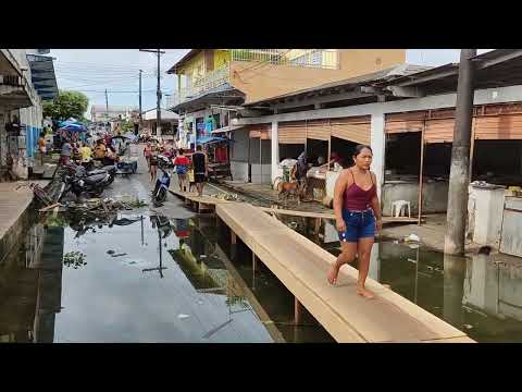 Francesa de Parintins tomada pela enchente do Rio Amazonas 2022 