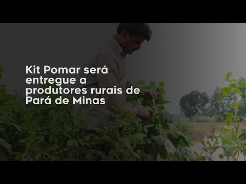 Vídeo: Kit Pomar será entregue a produtores rurais de Pará de Minas