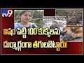 Local people killed 100 dogs in Hyderabad