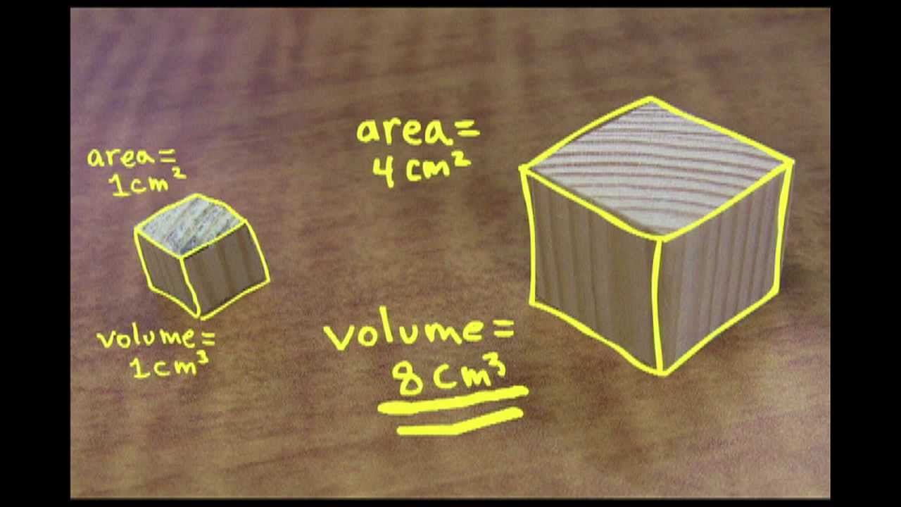 Square Cube Law Example