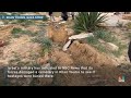 Video shows damaged cemetery after Israeli forces search for hostages in Gaza  - 01:38 min - News - Video
