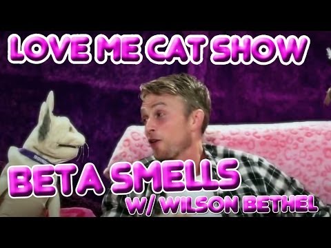 The Love Me Cat Show - Beta Smells with Wilson Bethel