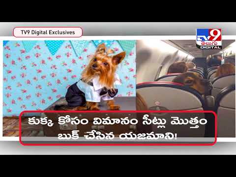 Owner books entire Air India business class cabin for pet dog Owner books entire Air India business class cabin for pet dog
