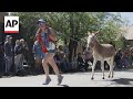 Burro racing wins over runners in backcountry ode to mining history