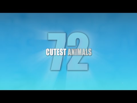 72 Cutest Animals'