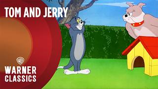 Tom a Jerry - Mega Kompilácia | Vol. 10 | Spike Seria 
