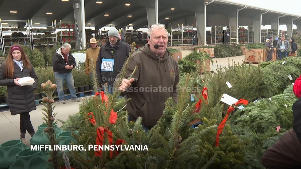 Christmas went on the auction block this week in Pennsylvania farm country