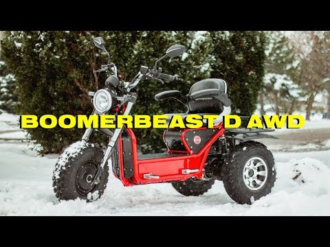 Boomerbeast D AWD! | Dual Motor On-road/Off-road Mobility Scooter
