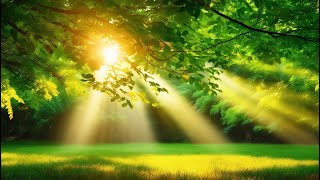 Âm Nhạc Piano Thư Giãn – Buông Bỏ Mệt Mỏi, Chữa Lành Tâm Hồn & Đón Nhận Năng Lượng Tích Cực