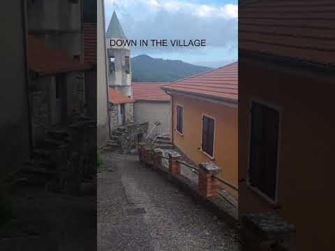 Video realizado por la propiedad
