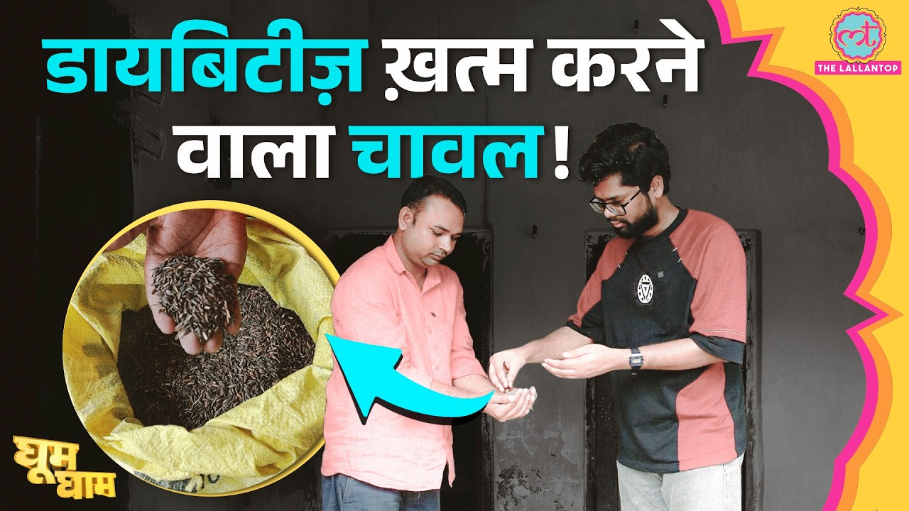 Basmati को मात दे सकता है Kalanamak Rice, Protein, Zinc और खुशबू के लोग दीवाने | Ghoom Ghaam Ep X