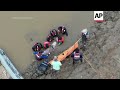Delfines de rio rescatados en Amazonía boliviana  - 01:35 min - News - Video
