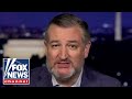Dems stand for violence: Ted Cruz