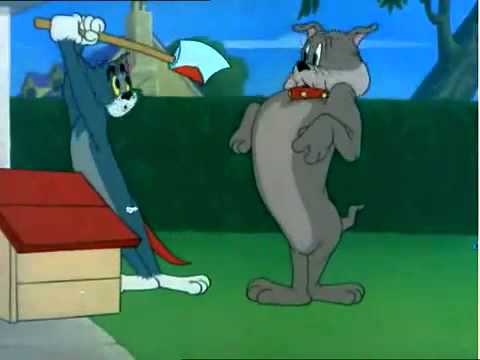 Tom Und Jerry Show Deutsch