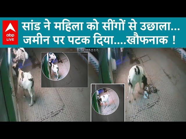 UP Viral News: सांड का ऐसा हमला, महिला को सींगों से उछाला और जमीन पर पटका, देखें वीडियो | ABP LIVE
