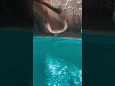 Vídeo fet per l’allotjament