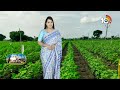 Cotton Cultivation | ప్రస్తుతం పత్తి, సోయా, కందిలో చేపట్టాల్సిన యాజమాన్యం | Matti Manishi | 10TV  - 05:57 min - News - Video