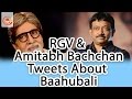 Amitab Bachchan Responds on RGV Tweets on Pawan Kalyan