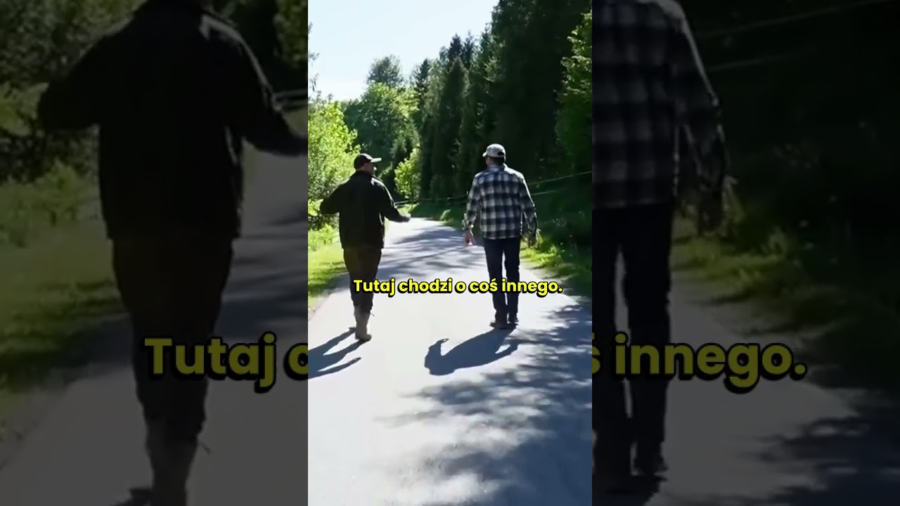 How bison do in the wild