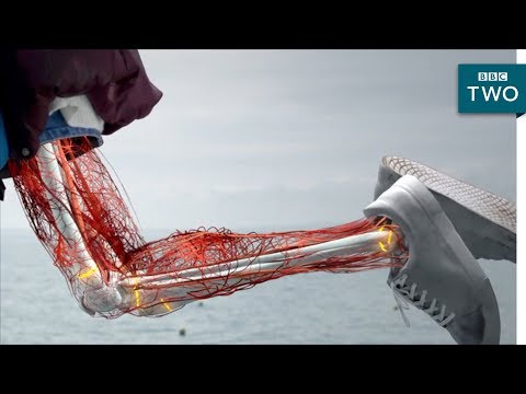 The Human Body: Secrets of Your Life Revealed'