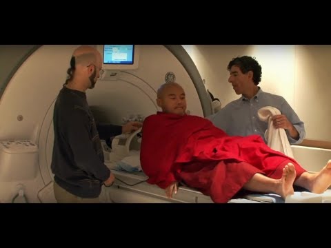 Upload mp3 to YouTube and audio cutter for Meditation's Impact on the Brain | Documentary Clip download from Youtube