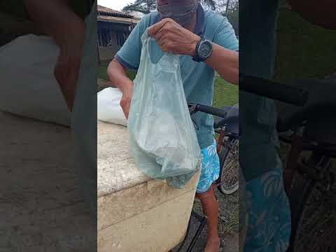 Video realizado por la propiedad